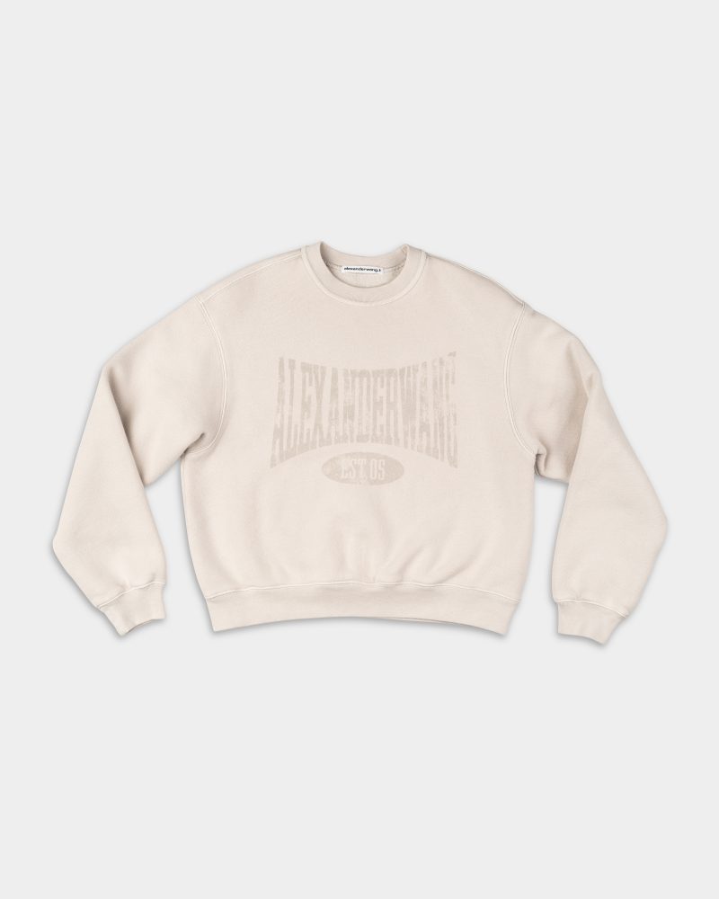 Alexander Wang Graphic Crewneck Sweatshirt Dirty White 4CC2251539 132